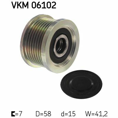 VKM 06102