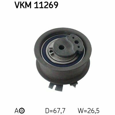 VKM 11269