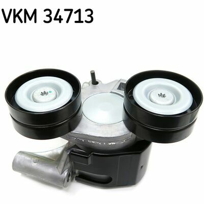 VKM 34713