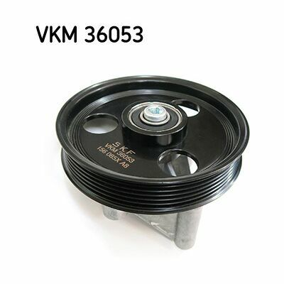 VKM 36053