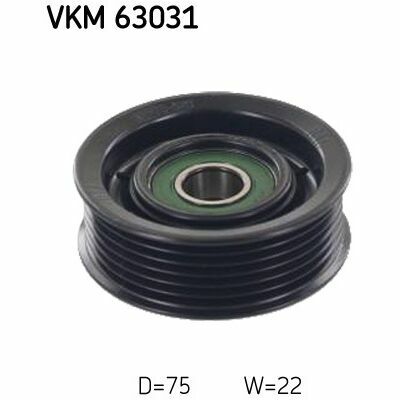 VKM 63031