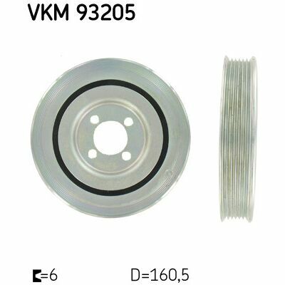 VKM 93205