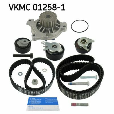 VKMC 01258-1