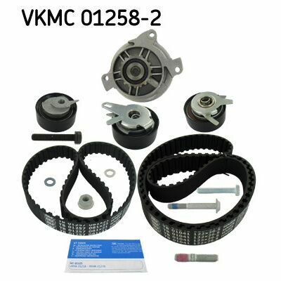 VKMC 01258-2