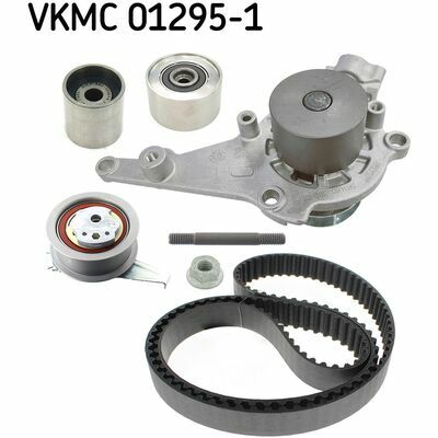 VKMC 01295-1