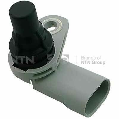 CMP186.01