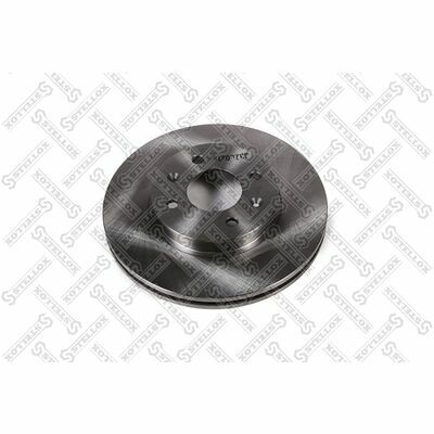6020-1113V-SX