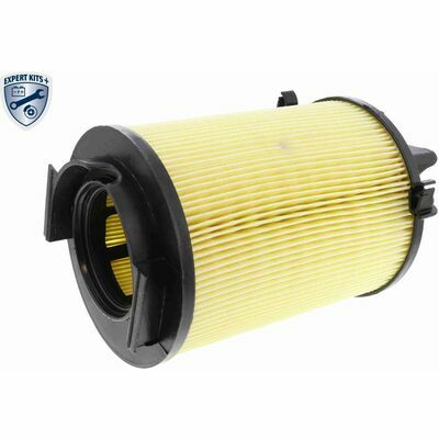 Q+,  Première Monte