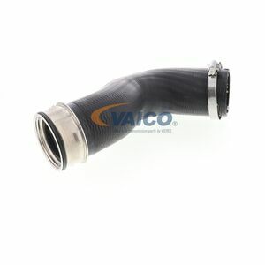 Q+,  Première Monte