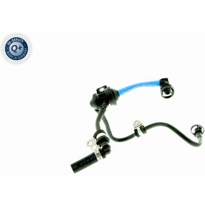 Q+,  Première Monte