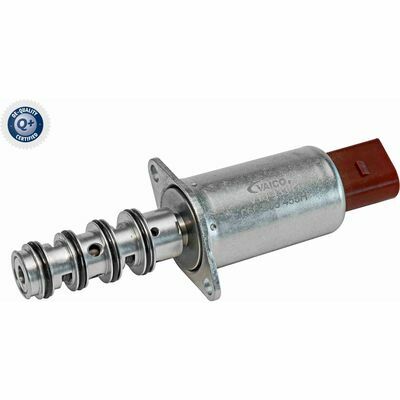 Q+ qualità di primo fornitore