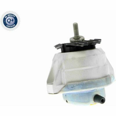 Q+,  Première Monte