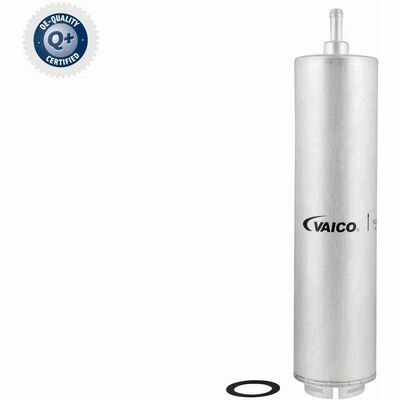 Q+,  Première Monte