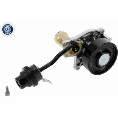 Q+ qualità di primo fornitore