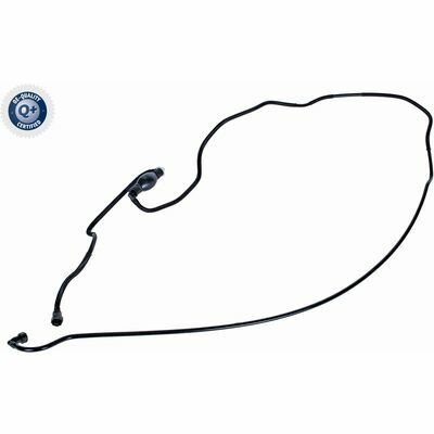 Q+,  Première Monte