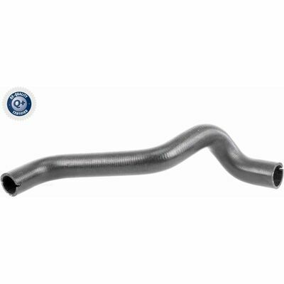 Q+,  Première Monte