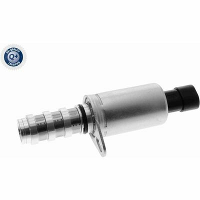 Q+ qualità di primo fornitore