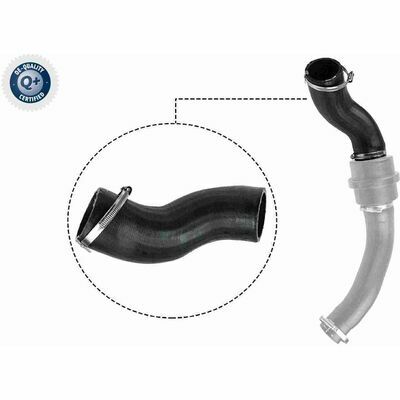 Q+,  Première Monte