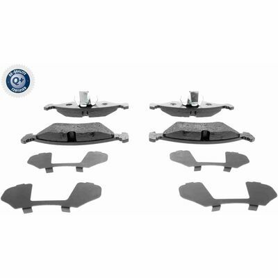 Q+,  Première Monte