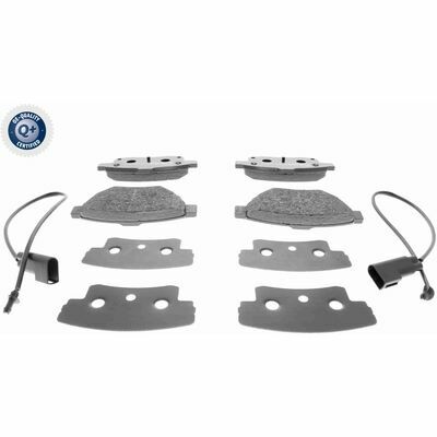 Q+,  Première Monte