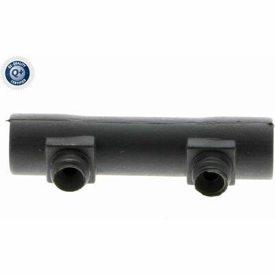 Q+,  Première Monte