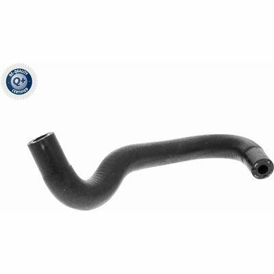 Q+,  Première Monte