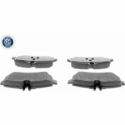 Q+,  Première Monte