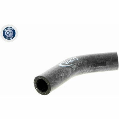 Q+,  Première Monte