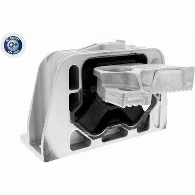 Q+ qualità di primo fornitore