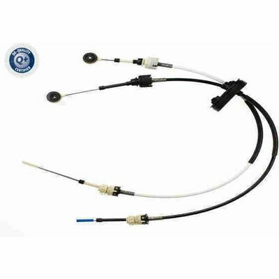 Q+, calidad de primer equipo