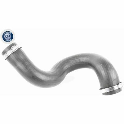 Q+,  Première Monte