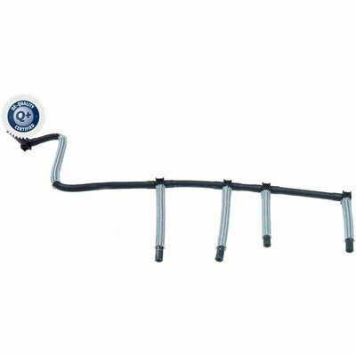 Q+,  Première Monte