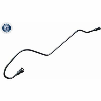 Q+,  Première Monte