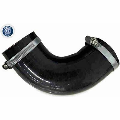 Q+,  Première Monte