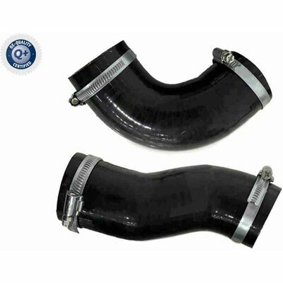 Q+,  Première Monte