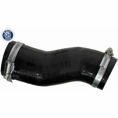 Q+,  Première Monte