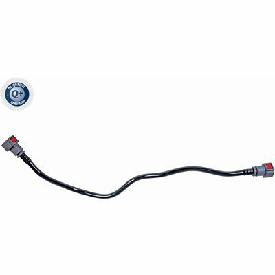 Q+, calidad de primer equipo