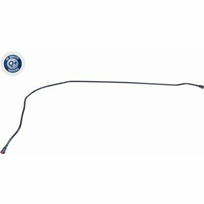 Q+ qualità di primo fornitore