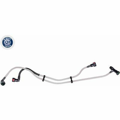 Q+,  Première Monte