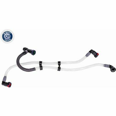 Q+,  Première Monte