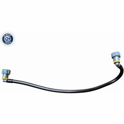 Q+,  Première Monte