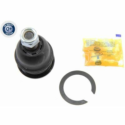 Q+, calidad de primer equipo