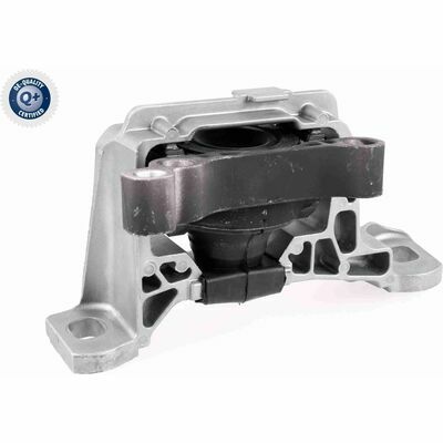 Q+,  Première Monte