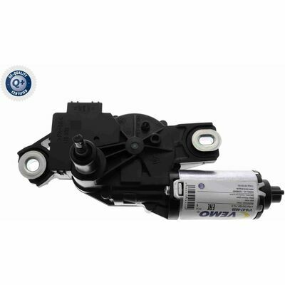 Q+,  Première Monte