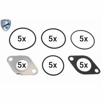 EXPERT KITS +