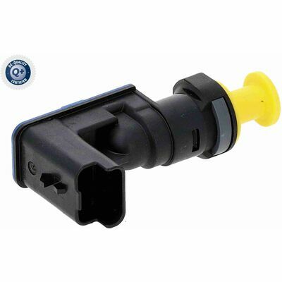 Q+,  Première Monte