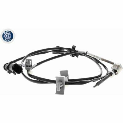 Q+,  Première Monte