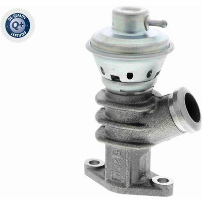 Q+,  Première Monte