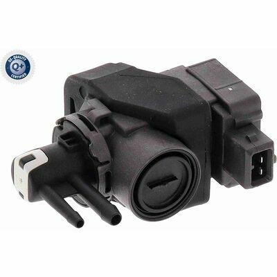 Q+,  Première Monte