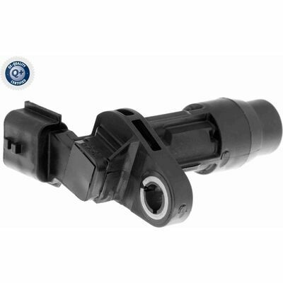 Q+ qualità di primo fornitore